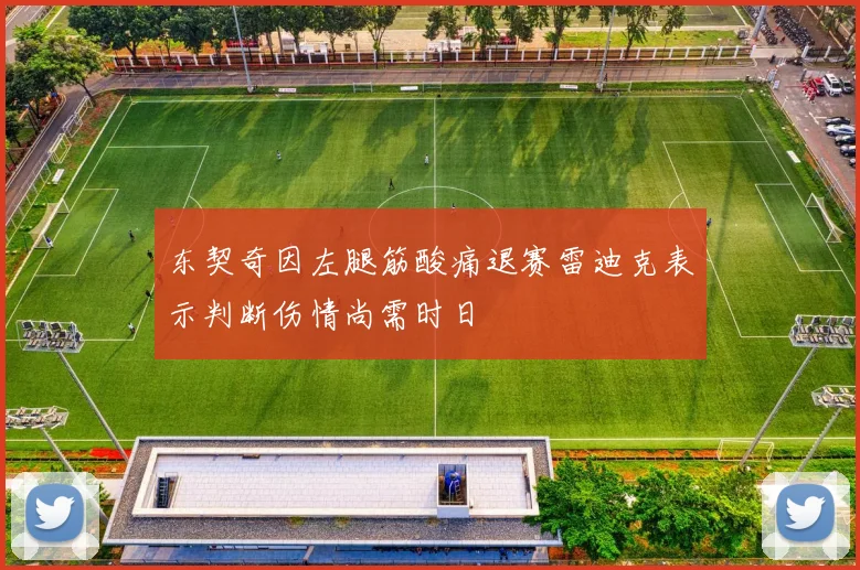 东契奇因左腿筋酸痛退赛雷迪克表示判断伤情尚需时日